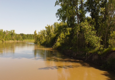 River Bank 01