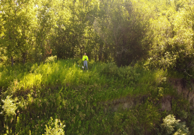 River Bank 02