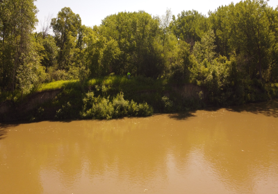 River Bank 02