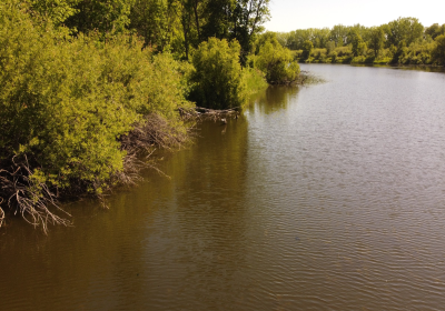 South Oxbow Riparian Forest - Drone