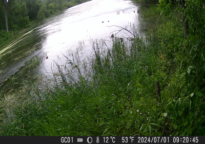Oxbow North Waterfowl 02