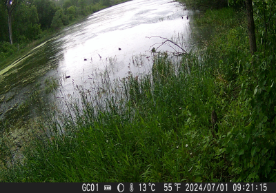 Oxbow North Waterfowl 03