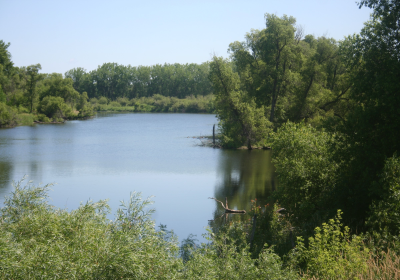 Oxbow North 03