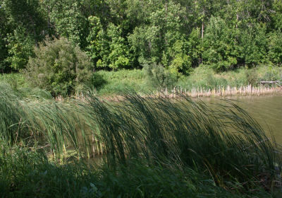 North Oxbow 4