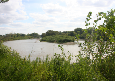 River Island