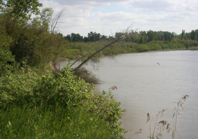 River Bank 1