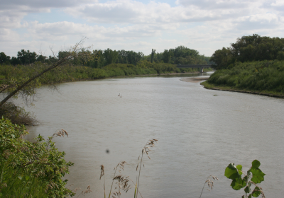 River Bank 2