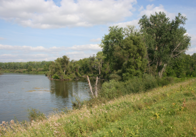 South Oxbow 4