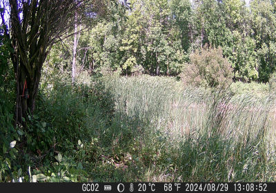 20240901_DSCF0001.JPG