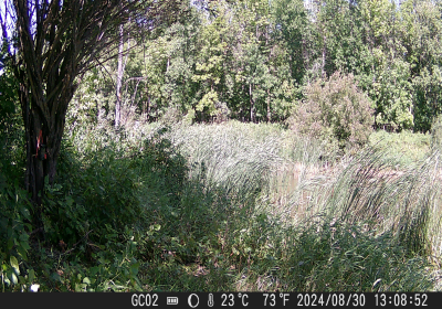 20240901_DSCF0002.JPG