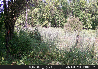 20240901_DSCF0003.JPG