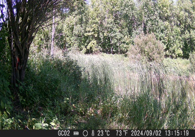 20240901_DSCF0004.JPG