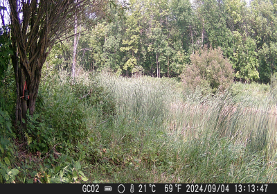 20240901_DSCF0005.JPG