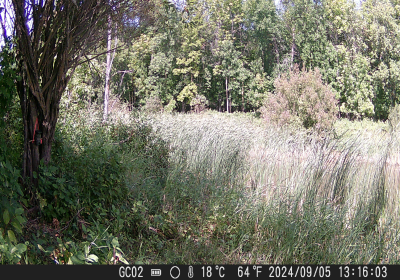 20240901_DSCF0006.JPG