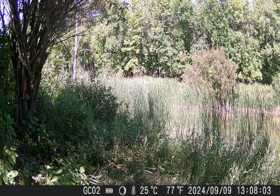 20240901_DSCF0008.JPG