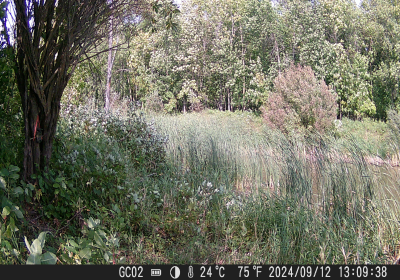 20240901_DSCF0010.JPG