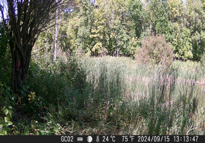 20240901_DSCF0012.JPG