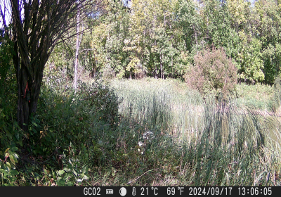 20240901_DSCF0013.JPG