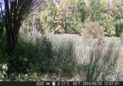 20240901_DSCF0014.JPG