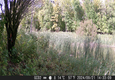 20240901_DSCF0015.JPG
