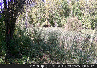 20240901_DSCF0016.JPG