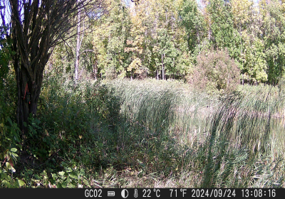 20240901_DSCF0017.JPG