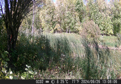 20240901_DSCF0018.JPG
