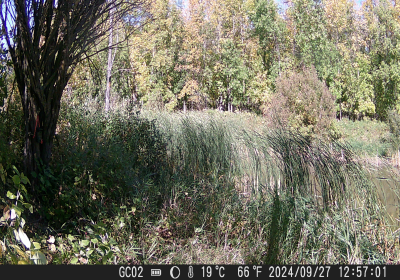 20240901_DSCF0019.JPG