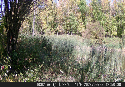 20240901_DSCF0020.JPG
