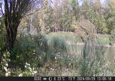 20240901_DSCF0021.JPG