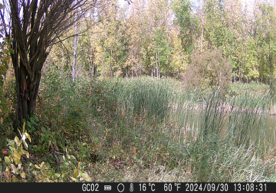 20240901_DSCF0022.JPG