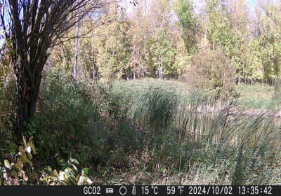 20240901_DSCF0023.JPG