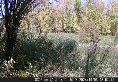 20240901_DSCF0024.JPG