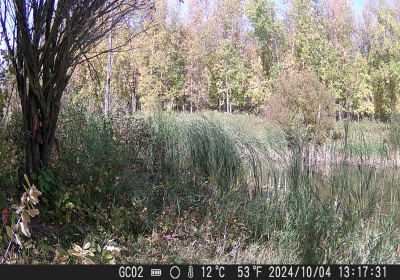 20240901_DSCF0025.JPG