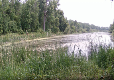 North Oxbow 07/21/2024 Time Lapse