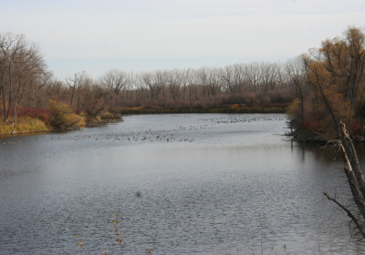 Oxbow South 01 