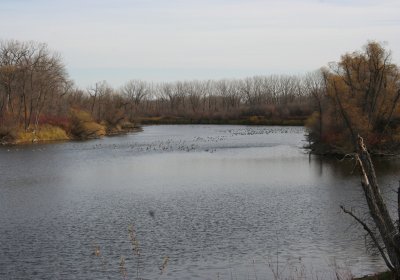 Oxbow South 02