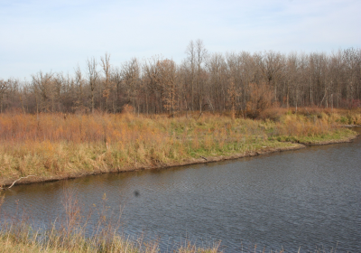Oxbow South 05