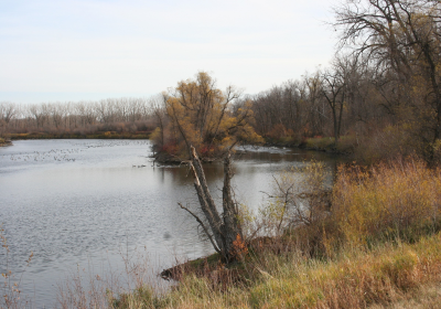 Oxbow South 06