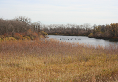 Oxbow South 07