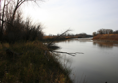 River 03