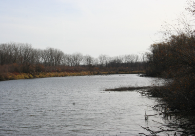 Oxbow North 01