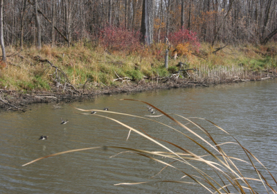 Oxbow North 04