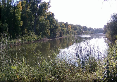 Time Lapse Oxbow North 09142024