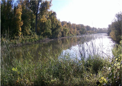 Oxbow North TimeLapse 05