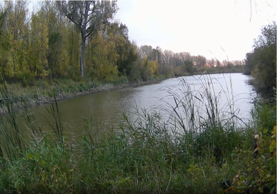 Oxbow North TimeLapse 04