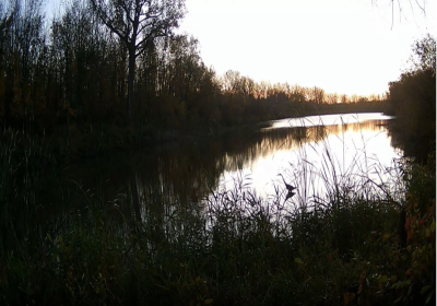 Oxbow North TimeLapse 03